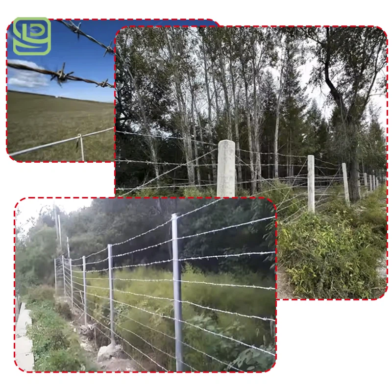 Barbed Wire Barbed Wire